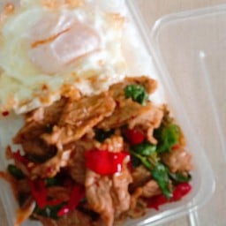 ข้าวกระเพาะหมูชิ้น