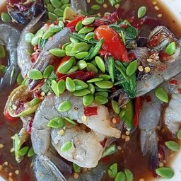 เหลากุ้งสด