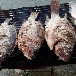 สุดทาราปลานึ่ง-ปลาเผา