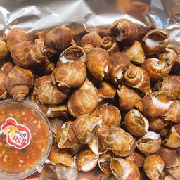 หอยหวานเผา 1kg