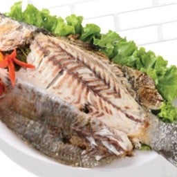 ปลากระพงเผาเกลือ