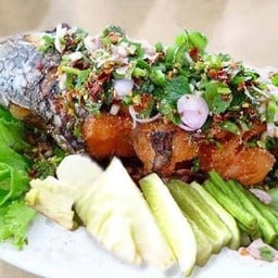 ปลาช่อนน้ำตก