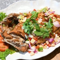 ปลากระพงลุยสวน