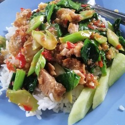 คะน้าหมูกรอบราดข้าว