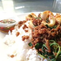 ข้าวกระเพราหมู+ปลาหมึก