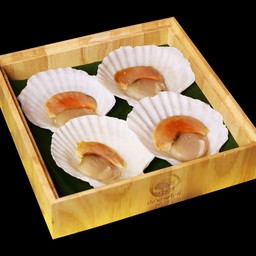 หอยเชลล์