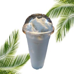 Coconut Shake ตลาดสวนสยาม