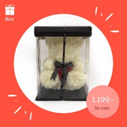 Teddy Roses , white