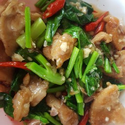 ผัดคะน้าหมูนุ่ม (กับข้าว)