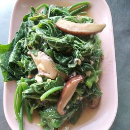 ยอดมะระผัดน้ำมันหอย