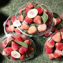 เสี่ยเกมส์ผลไม้ตามฤดูกาล