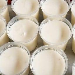 พุดดิ้งมะพร้าวอ่อน