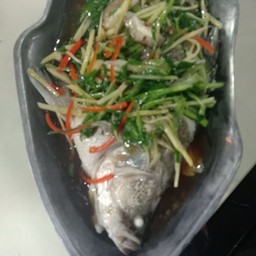 ปลากระพง/ปลาทับทิมนึ่งซีอิ้ว