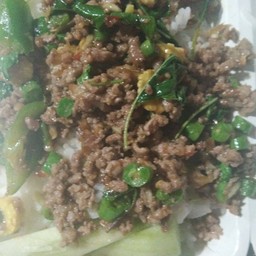 กระเพราเนื้อราดข้าว