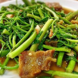 ผัดผักกระเฉด