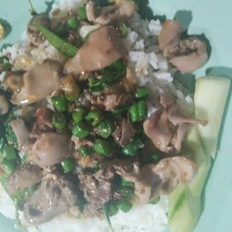 กระเพราเครื่องในไก่ราดข้าว