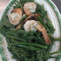 ยอดมะระ ผัดกุ้ง