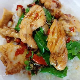 กระเพราไก่ราดข้าว