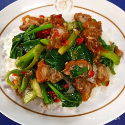 แหม่มกะปิ