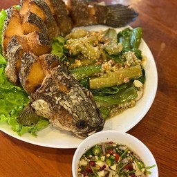 ปลาช่อนเกยตื้น