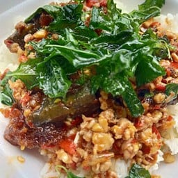 กระเพราไข่เยี่ยวม้าราดข้าว