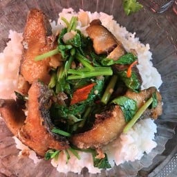 ร้านมั่งมีตามสั่ง (โกสน)
