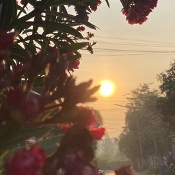 เจ๋ย ข้าวสาระพัดผัด