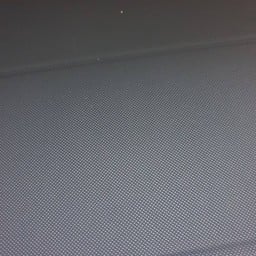 จระเข้อารมณ์ดี