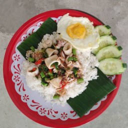 กระเพราถาดพุงกาง