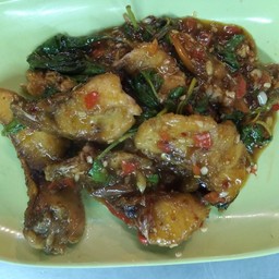 กระเพรา เนื้อปลากระพง