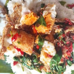 ไข่ดาวกะเพรา