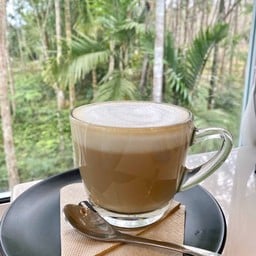 ลาเต้ร้อน 