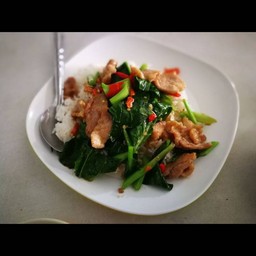 ข้าวคะน้าหมูหมัก