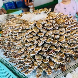 อาป๋ากุ้งย่างเกาหลี-บุฟเฟ่ต์ชลบุรี