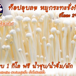 เห็ดเข็มทอง