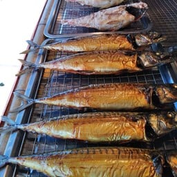 ปลาซาบะนอร์เวย์