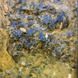 แกงขี้เหล็ก