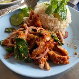 ข้าวมันไก่โชกุน