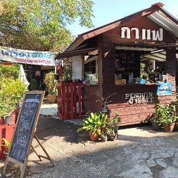 เพนกวิ้นขายปีก