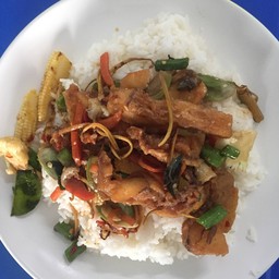 ผัดฉ่าปลาทับทิมราดข้าว