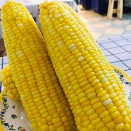 ข้าวโพดต้ม