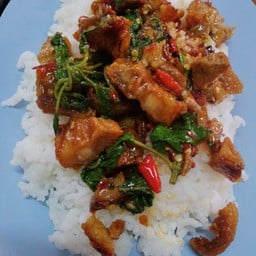 กระเพราหมูกรอบราดข้าว