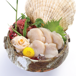 หอยเซล์ญี่ปุ่น ซาซิมิ