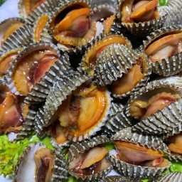 E หอย