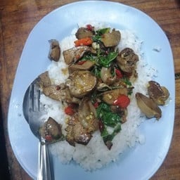 กระเพราเครื่องในราดข้าว