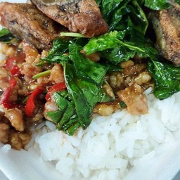 กระเพราไข่เหยี่ยวม้าราดข้าว