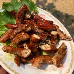 ไส้ย่าง
