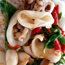 กะเพราราดข้าว