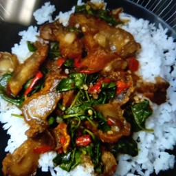 กระเพราหมูกรอบ