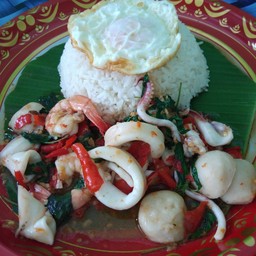 กระเพราถาด (ซอย 7)